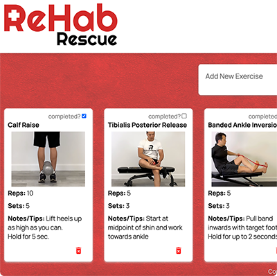screenshot of rehab rescue